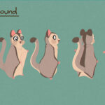 Character concept